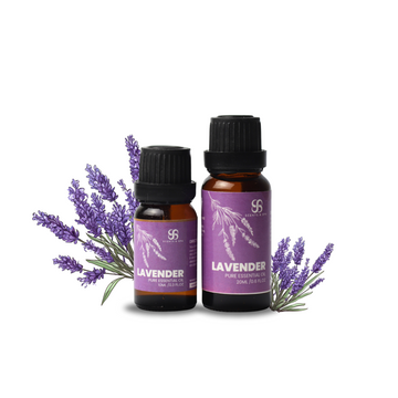 lavender essential oil on plants Lavender Essential Oil